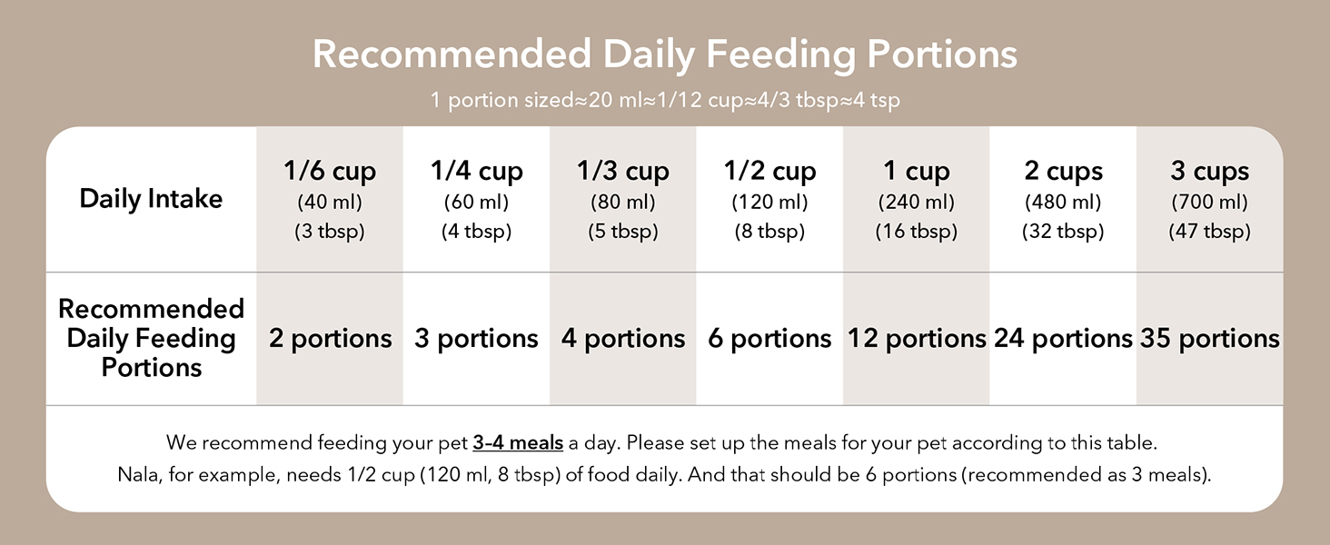 alimentador automático para gatos