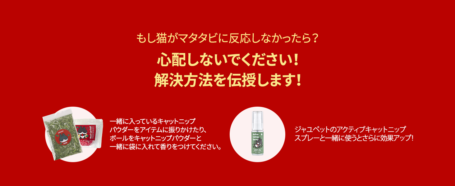 もう一度、