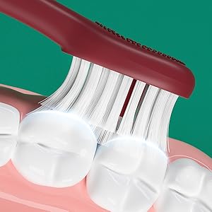 Thin bristles for deeper cleaning