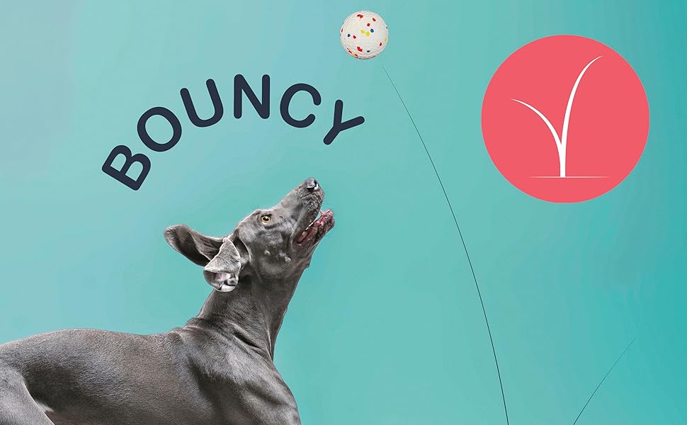 Fuzzl Ultra Tough Dog Balls 2 Pack Dog Ball + Rugby Ball Interactive