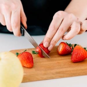 on the go blender, portable shake blender, mini smoothie blender