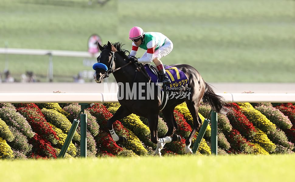 Amazon.co.jp: 【ドゥレッツァ】写真で綴る 第84回(2023年) 菊花賞 全