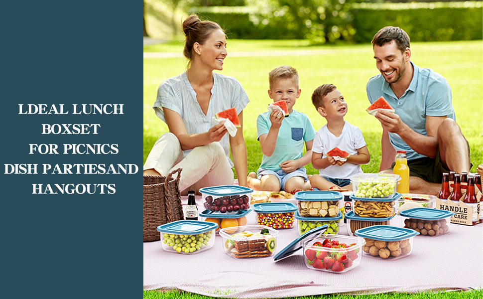 EFISH 5PCS Square Plastic Portion Box Sets with Lids.Food Storage Box