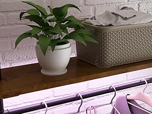 wall mounted clothes rack with shelves