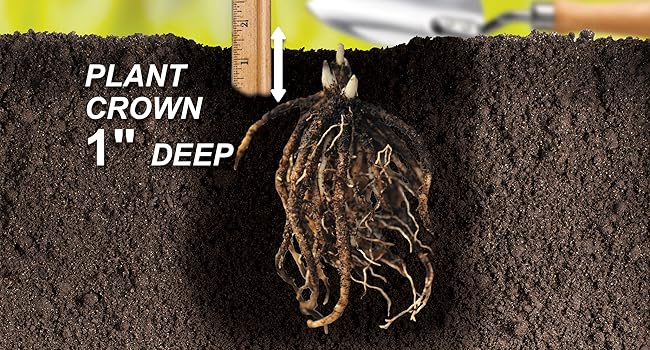 Large manufacture image 3