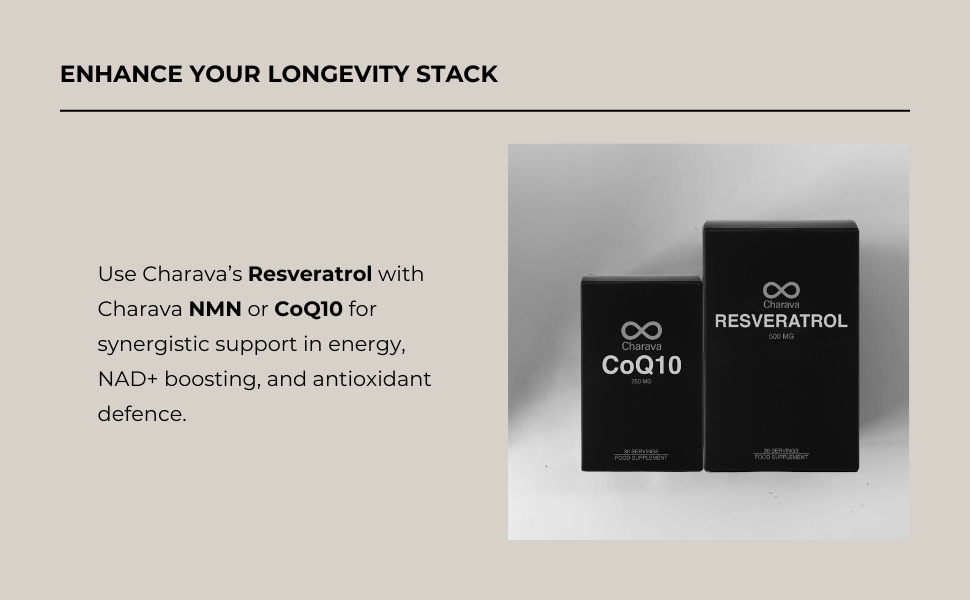 Large manufacture image 7