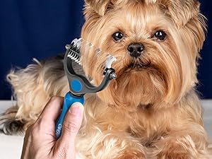 Perfect for your fury pets