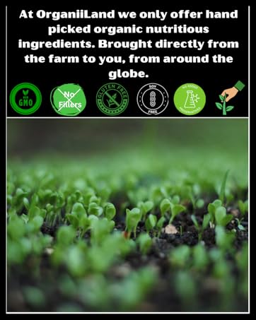 adaptogenic coffee, nootropics, organic mushrooms, organic coffee, chaga, reishi, l-theanine, 