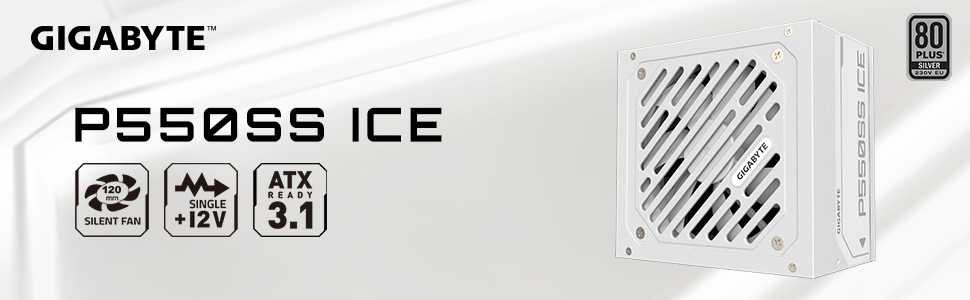 P550SS ICE