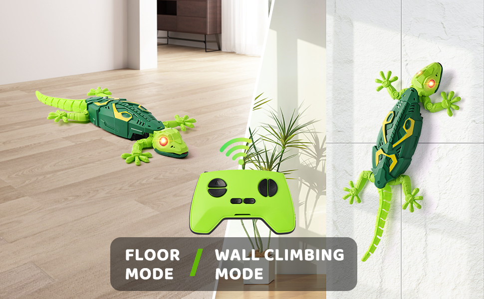 remote control cars