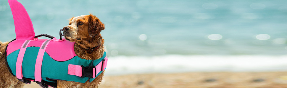 schwimmweste für hunde