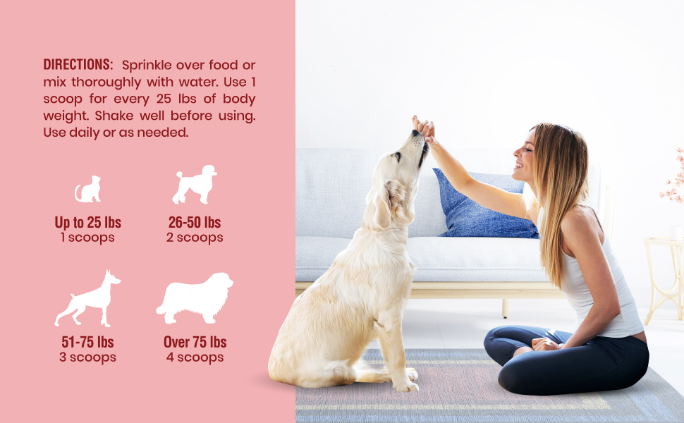 health cardiac organic canine organics blood strength energy carnitine probiotics young l pets