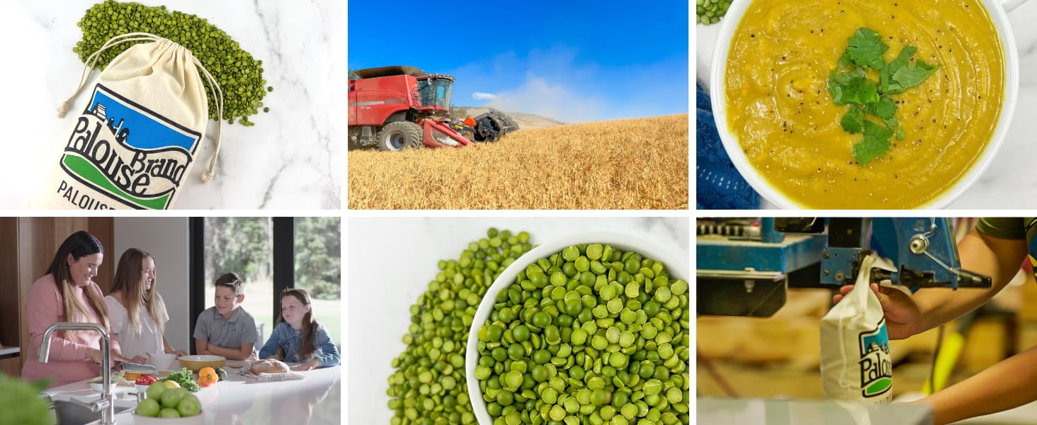 Green Split Peas 5 LBS 100 Desiccant Free Family Farmed in Washington State