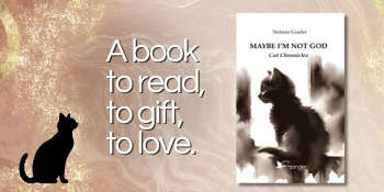 Gift book; Cat lovers; Heartwarming story; Emotional read; Unique perspective; Bestseller