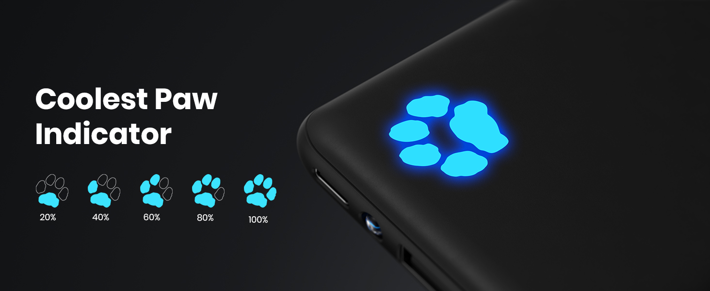 paw