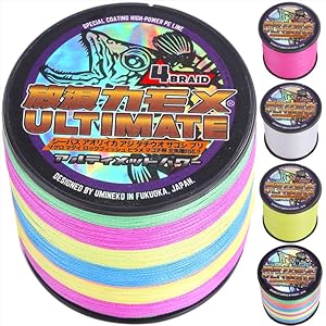 Amazon.co.jp: 放浪カモメ PEライン 釣り糸 0.3号 1000M 5色