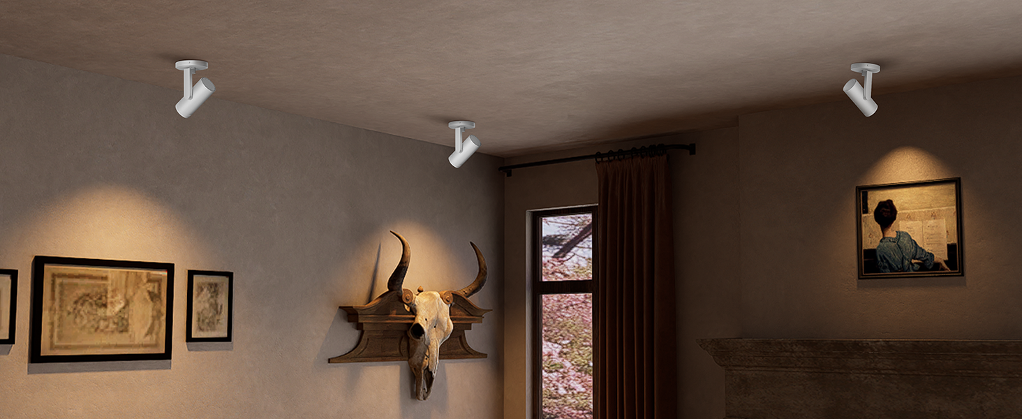 artwork accent lighting