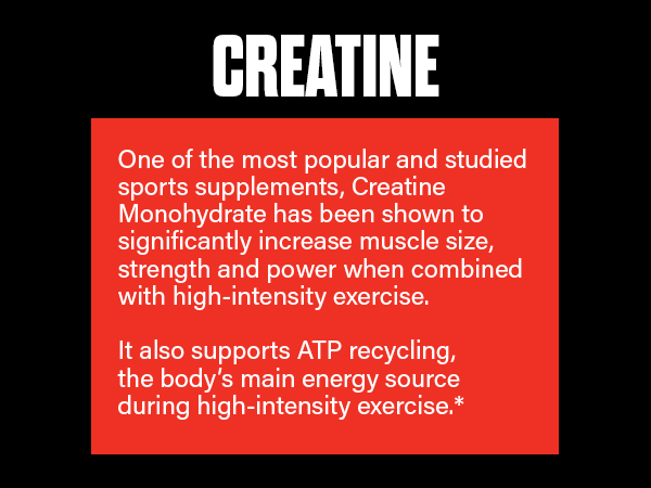 The Curse, JNX Sports, Pre-Workout, Creatine, Beta Alanine, L-Citrulline, L-Arginine, Supplement