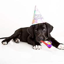 share the fun anytime