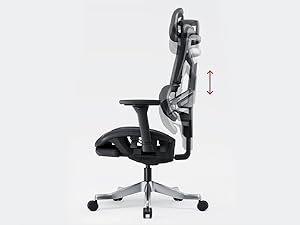 Height Adjustable Backrest