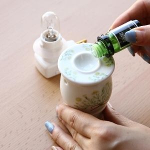 Amazon.co.jp : SPICE OF LIFE(スパイス) 陶器 アロマソケット