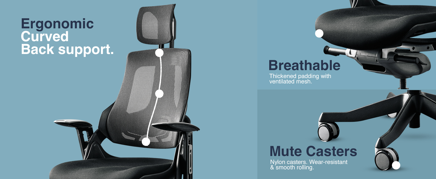 Pro+ Chair Back Support