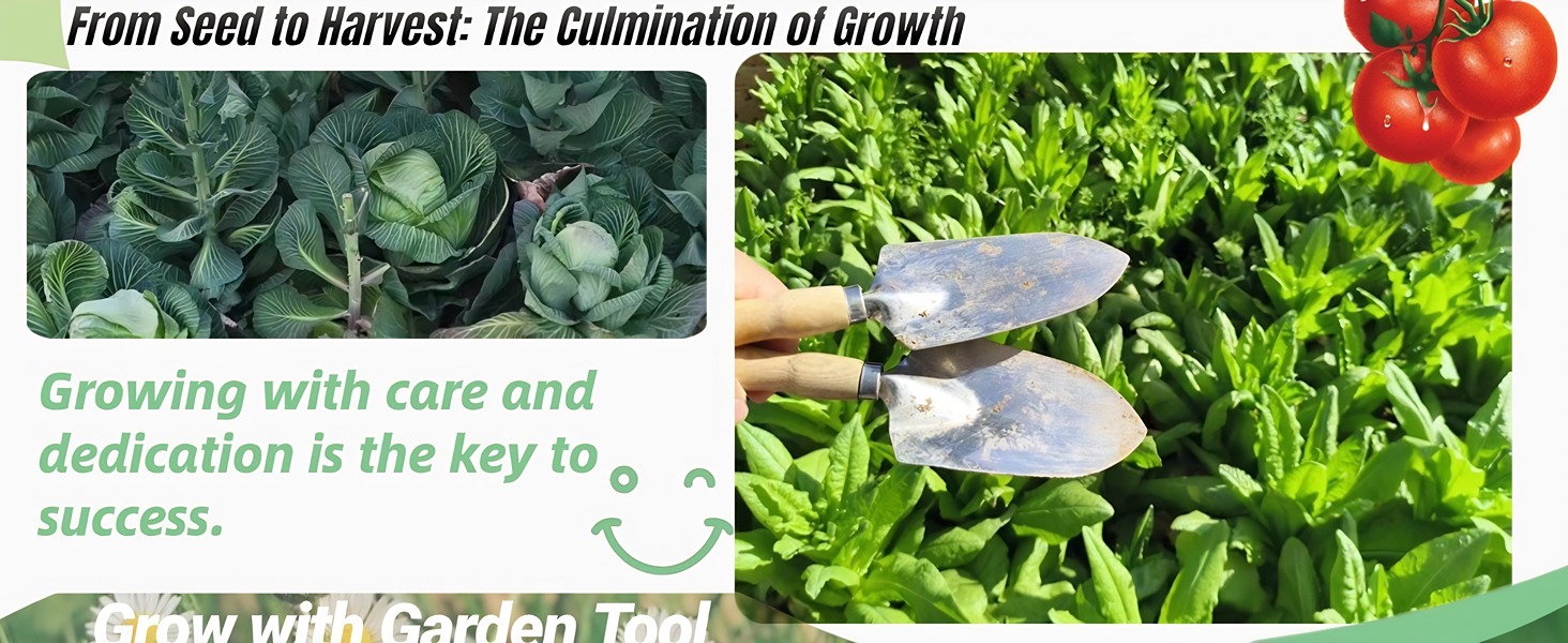From Seed to Harvest: The Culmination of Growth