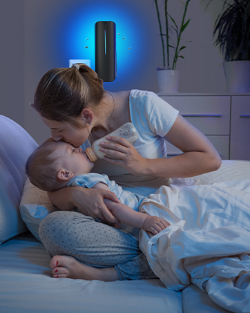 fly trap indoor home