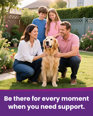 dog melatonin for large dogs sleep aid for dogs melatonin for dogs to sleep dog sleeping pills