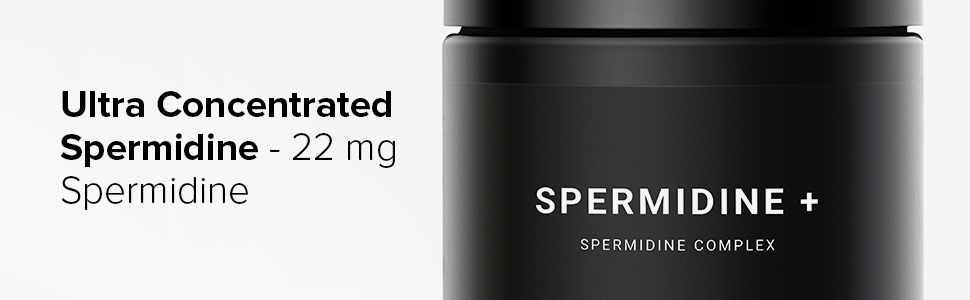 spermidine