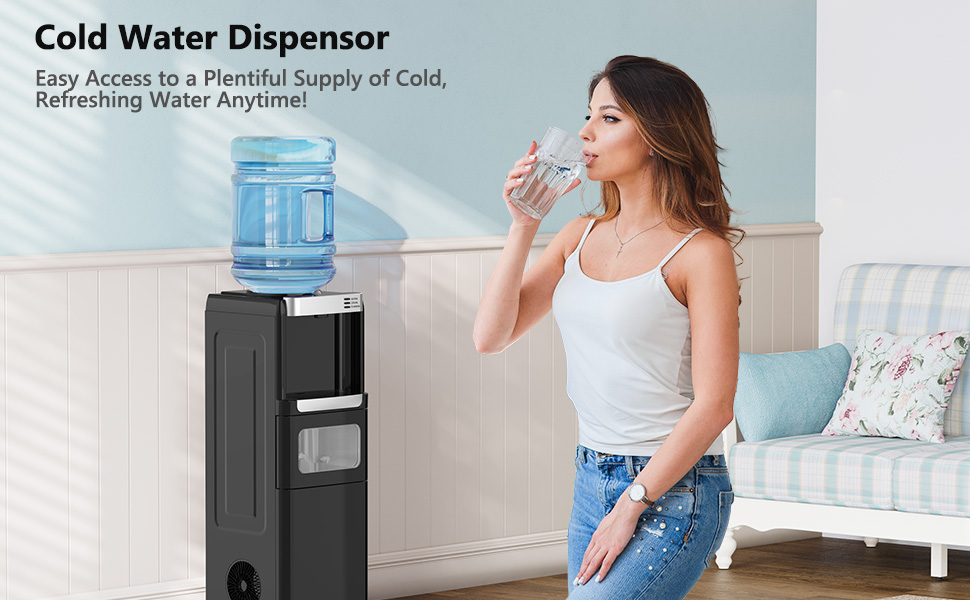 Water Dispenser with Ice Maker Function