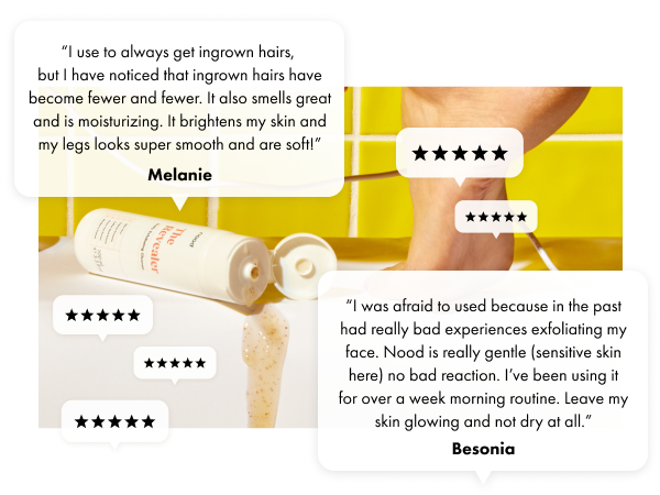 reviews of the revealer