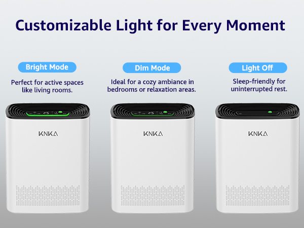 air purifier fsa eligible pet purifiers for home room air purifier for allergies