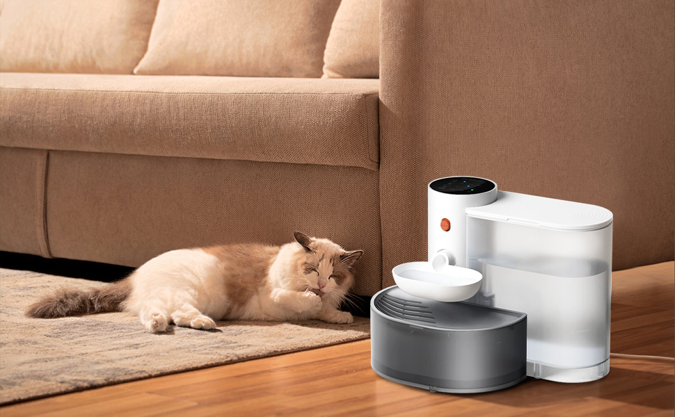 Cat Water Fountain