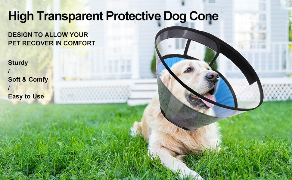 Manificent Dog Cone Alternatives for Dogs After Surgery