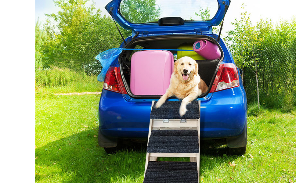 Sdjazl large dog Steps & Ramp Combo Transforming, Premium