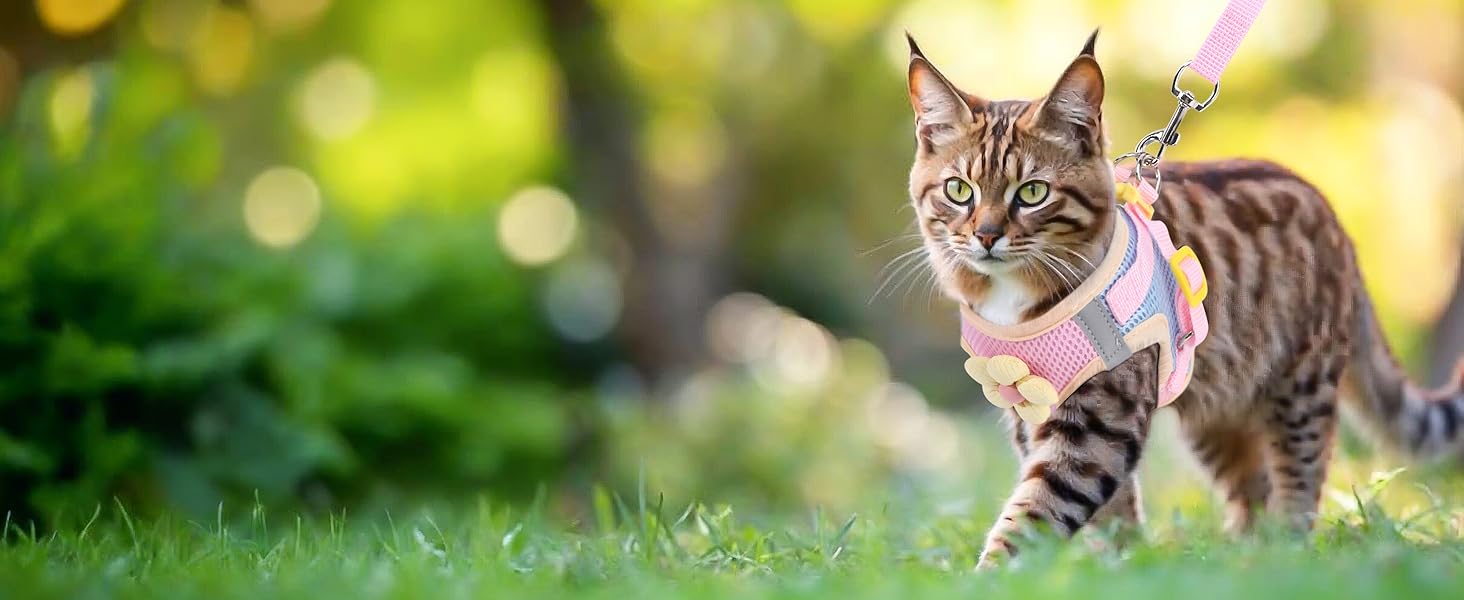 Cat Harness and Leash Set