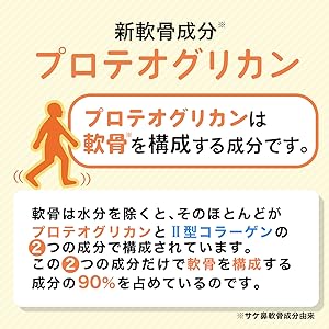 연골 성분 프로테오글리칸 2형 콜라겐 관절 무릎 통증 관절통 보충제 보충제 무릎 무릎 글루코사민 콘드로이틴 관절염 비변성 국산 관절증 인기 랭킹 관절통 류마티스