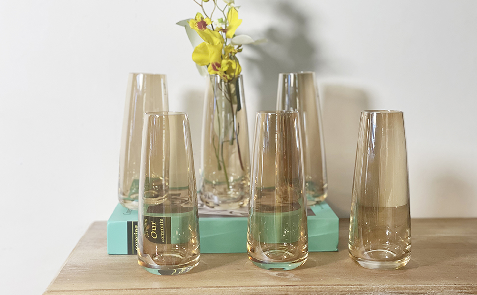 Funsoba Clear Glass Bud Vase Set of 6 Small Vases for