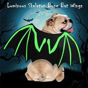 Hundekostüm halloween