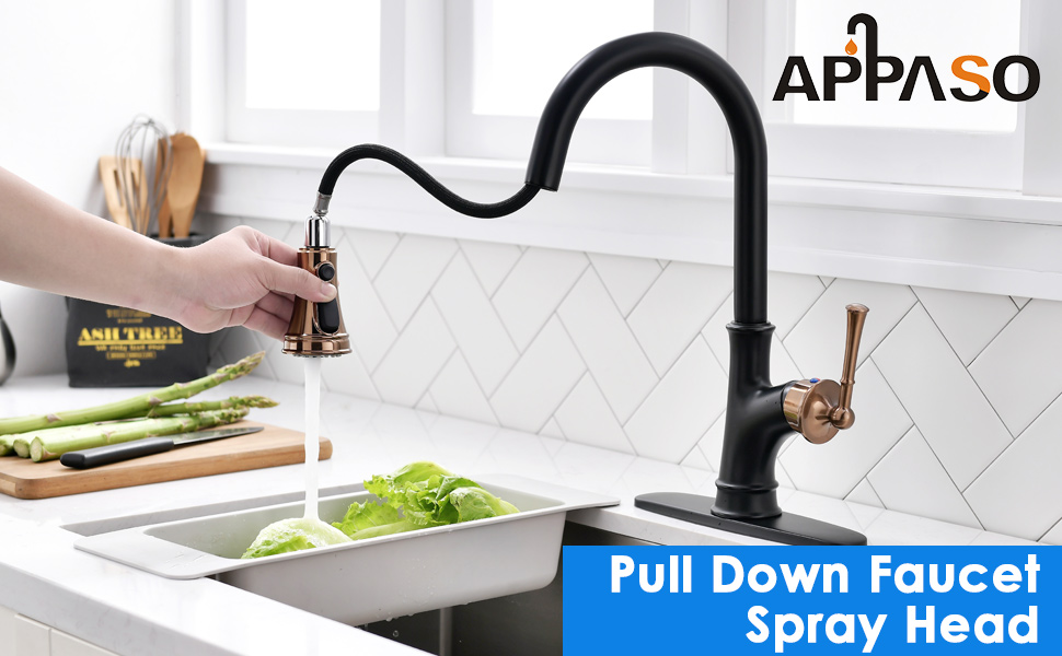 APPASO Kitchen Faucet Spray Head Replacement, 3Function