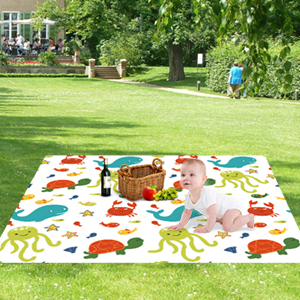 Picnic Mat
