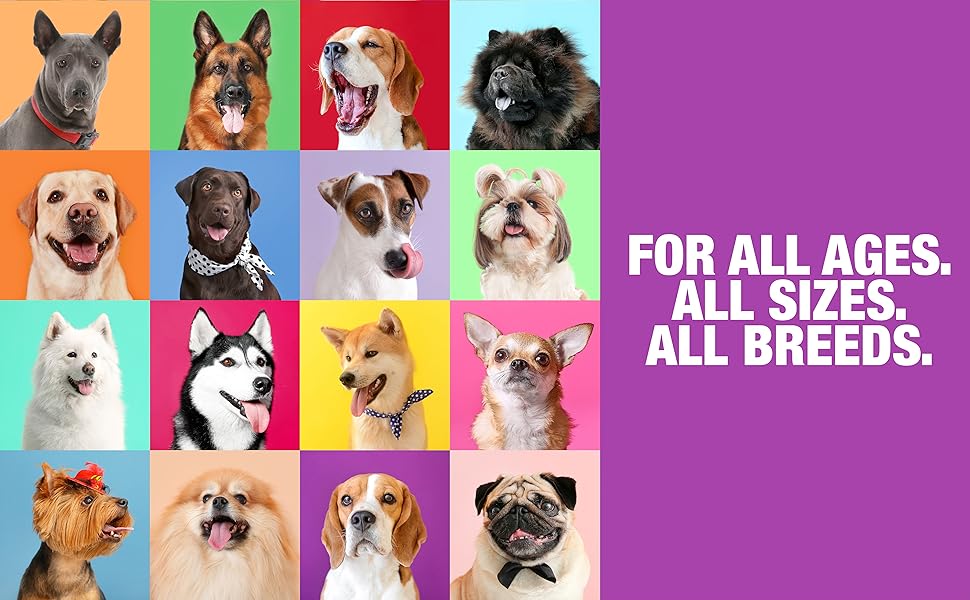 Supplements for dogs