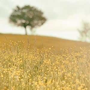 nature about us 