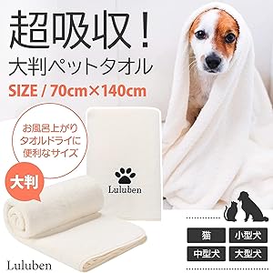 犬夜叉　グッズ大量出品中　完結編　スポーツタオル　マイクロファイバー　未開封 71oagv3ouDL._AC_UL210_SR210,