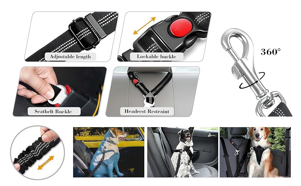 Pet car harness application