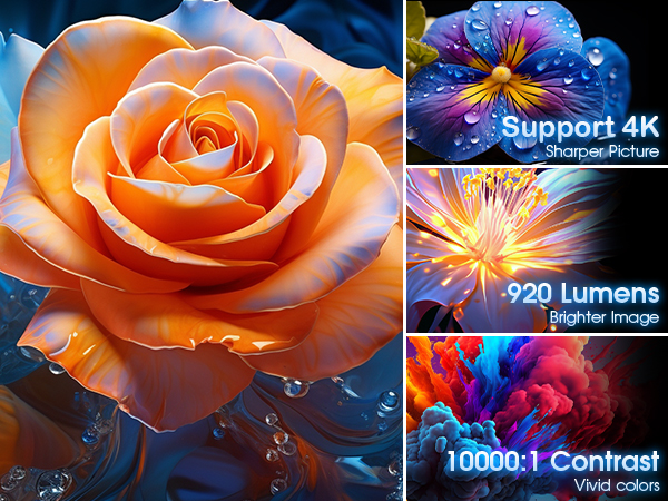 Zusammengesetztes Bild mit den Ausstellungsmerkmalen: große orangefarbene Rose, lila Blume mit Wassertröpfchen, feuerwerksähnlicher Ausbruch und bunter Rauch. Text hebt 4K-Unterstützung, 920 Lumen Helligkeit