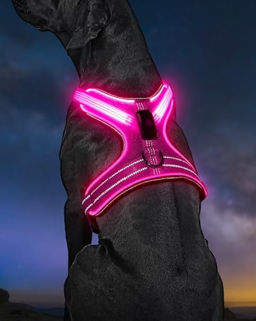 Light Up Dog Harness
