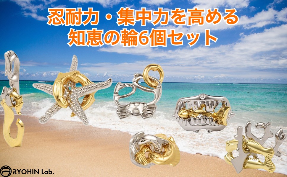 Amazon | RYOHIN Lab.(良品ラボ) 知恵の輪 知恵おもちゃ 海洋