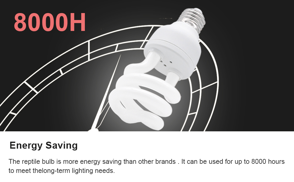 bearded dragon, tortoises, geckos, snakes, iguanas, lizards, chameleons, frogs, toads